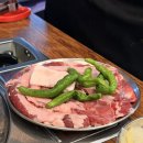 돼지갈매기 | 문래동 애견동반 맛집 문래갈매기🐶 갈매기살에 돼지꼬랑지구이까지 먹고 온 후기