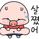 로띠번(가야점) 이미지