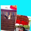 구중구포 구기자 차 이미지