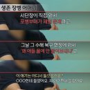 “해병대 박정훈 대령 복직시켜라” 11만명 탄원 이미지