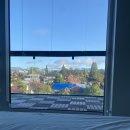 칵투스 아일랜드 | 차 밴쿠버 여행 그랜빌 아일랜드 스탠리파크 잉글리시...베이 일몰 맛집 cactus club 예약 및 방문 후기