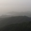 순천만 그리고 나 Daum카페