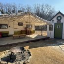 무지개카라반 이미지