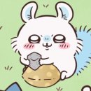 모몽가 이미지