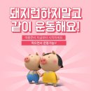 뉴바디짐 이미지