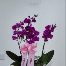 은헌정정신건강의학과의원 이미지