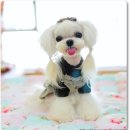 달콤한아이
