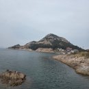 장자도 | 감태 호떡 맛집 장자도호떡마을1호점 방문후기