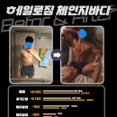 보니헤일로 이미지