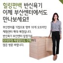 편백존