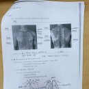 인재의원 | 40대 간호학과 만학도_4월 적응기2(중간고사 + 전문기술인재장학금)