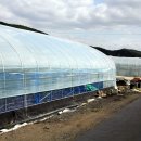 유명자농장 이미지