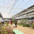 월호농장 | 경기도 아이랑 가볼만한곳 딸기체험 화성 아기농부 재방문