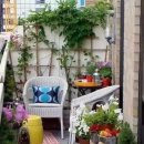 작은정원 이미지