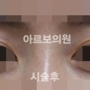 아르보의원 이미지