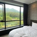 [내돈내산] 남원 지리산 오헤브데이호텔 방문후기(+애견동반)