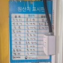올레 | 태종대조개구이 맛집 추천 애견동반 가능한 태종대자갈마당 올레 후기