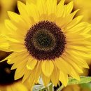 사업장부설 이미지