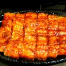 빨간장어 이미지