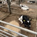 지구를지키는소소한행동 사회적협동조합 이미지