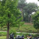 영흥체육관 이미지