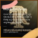 헤어 토탈 뷰티 태라
