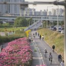 디지털미디어시티역4번출구 이미지