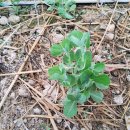 해룡농장 이미지