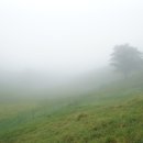 도담목장 이미지