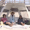 열린민박 이미지