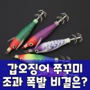 윤피싱 꼬마 미니 에기, 갑오징어 쭈꾸미 낚시 조과 늘리는 팩트 분석
