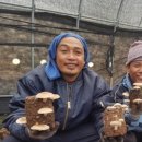 라파엘농장 이미지