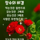 "'양재천'(개포동역~선바위역) 산책"＜2022.04.12(화)＞ 이미지