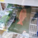 동해식자재마트 이미지