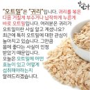 🥫당뇨에 오트밀(귀리)의 효능과 먹는법🥫 이미지