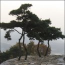 파사장여관 이미지