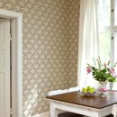 레그노일 이미지