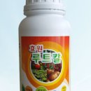 참빛종합관리 이미지