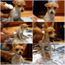 간석3동-8 이미지