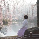 영산 연지못 이미지