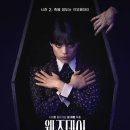 50+여자들의 수다감성 수놓기 - 입체자수 | 26. 1월 미디어 감상 총정리