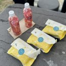 표선토스트