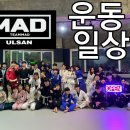 울산팀매드 이미지