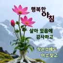 압구정연한의원 Daum카페
