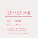 로이드밤 티스토리