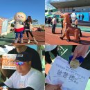 남승룡로 | 순천 남승룡마라톤 5km 완주 성공 순천 가을 가볼만한곳