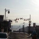 쩡스분식 | 제 26회 북극곰 수영대회 참가 후기