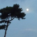 해룡사 Daum카페