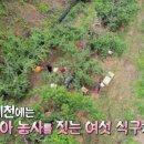 김영복농장 이미지