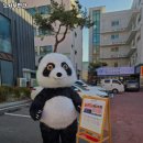 노사부면관